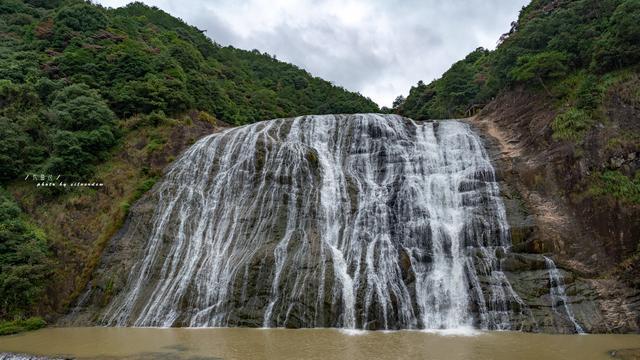 小伙救下残疾野狼,每天吃肉150元,野狼为报恩给狗配种年入百万